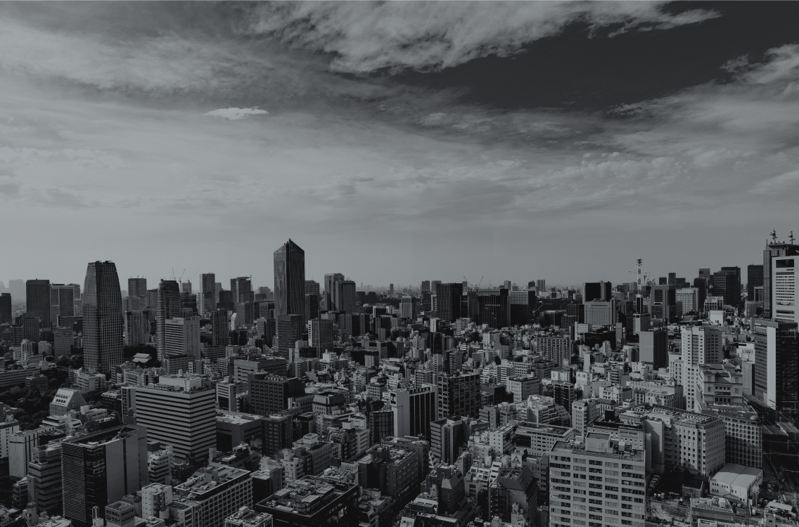 BASE STYLE AVANSIS アバンシス イメージ