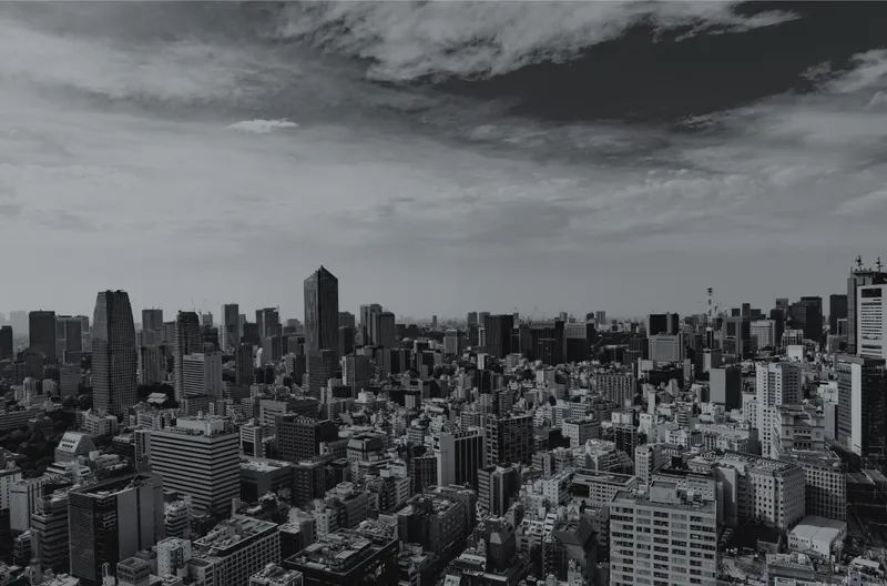 BASE STYLE AVANSIS アバンシス イメージ