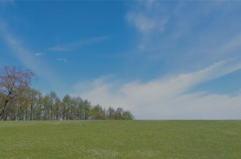 BASE STYLE PRERISTA プレリスタ イメージ