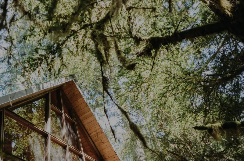 BASE STYLE FOREST VILLA フォレストヴィラ イメージ